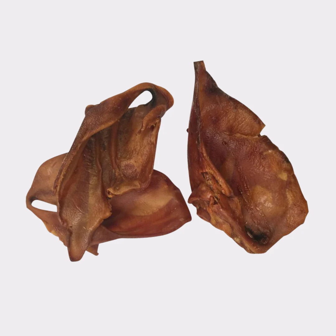 3 Dried XXL Sow Ears on a white background