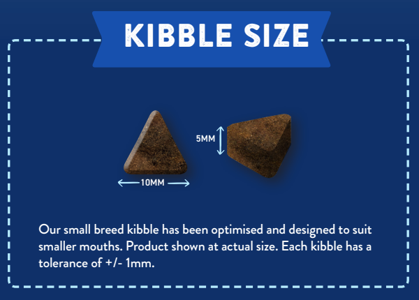 Two small, triangular Hilltop Superfood 65 Angus Beef kibbles for adult dogs on a blue background.