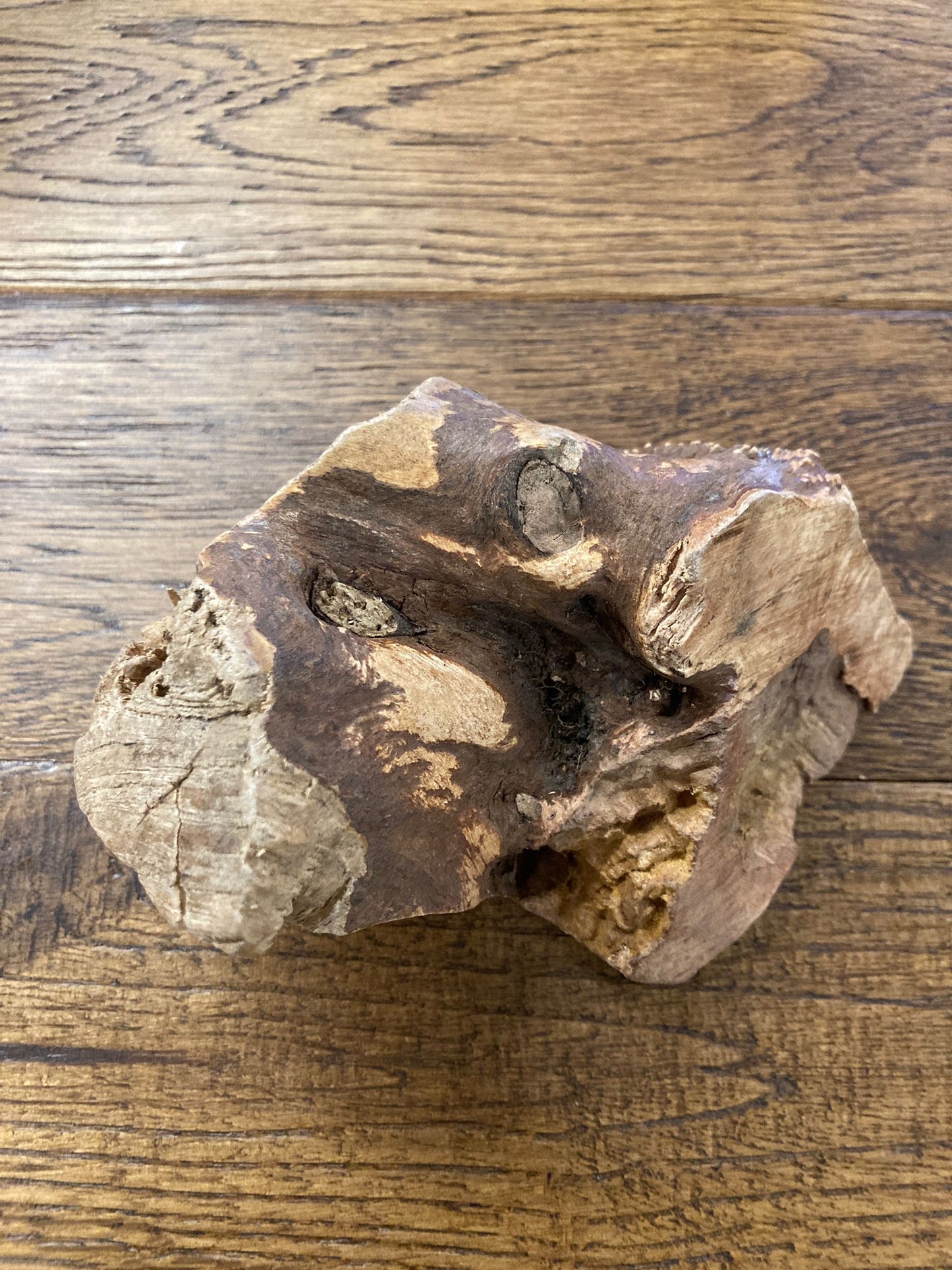 The Hilltop Pet Food Natural Root Wood Chew is a calorie-free stress-relief chew for dogs, shaped from real driftwood.