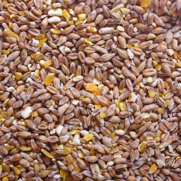 Close-up of Hilltop Pet Food Poultry Mixed Corn 20kg, showing brown and yellow grains and cracked corn.