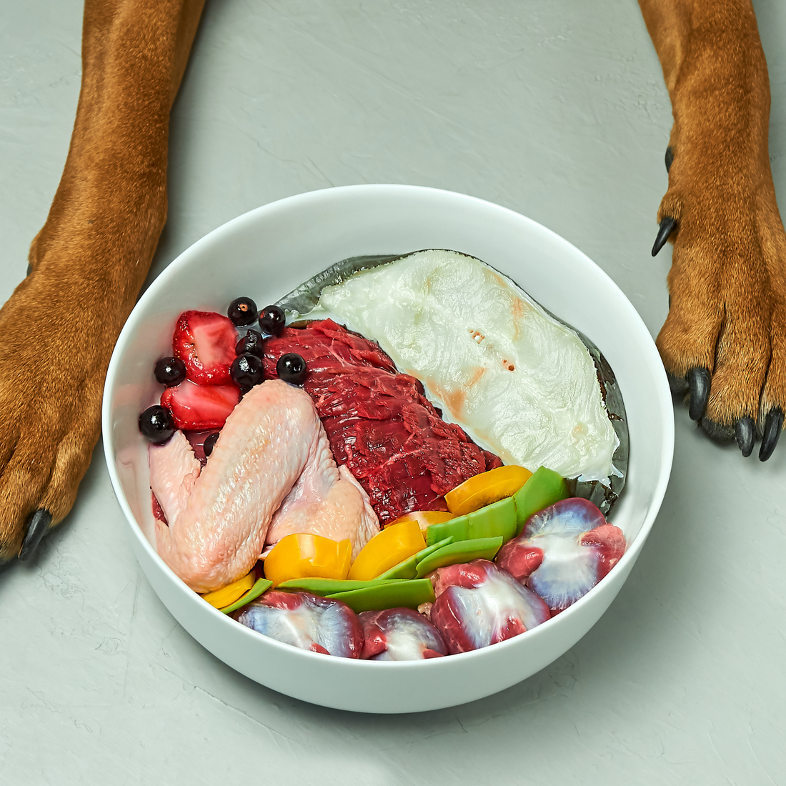 allergy hypoallergenic meat