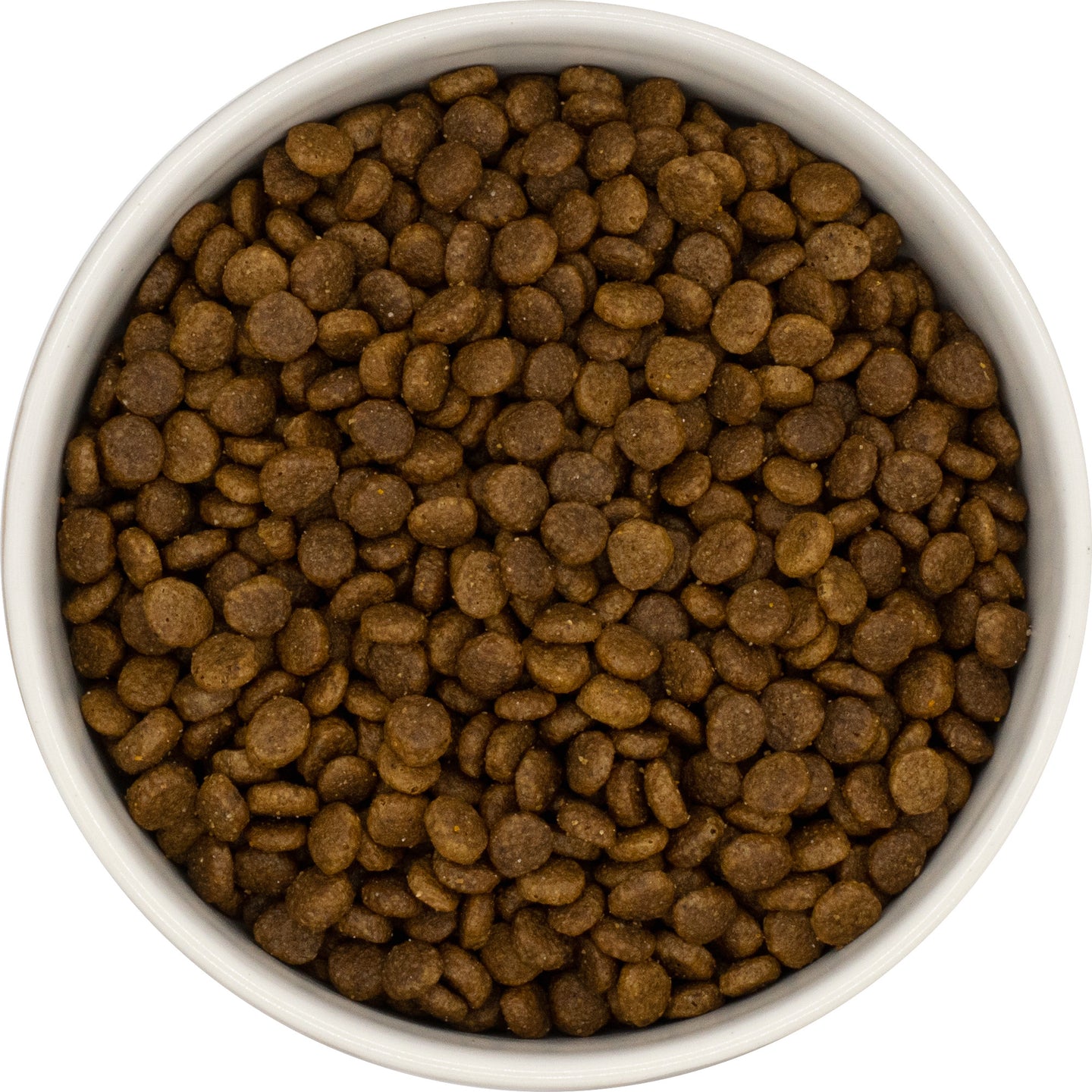 A white bowl with Hilltop Super Premium Cat Food KITTEN kibble—Chicken, Fish & Rice—seen from above.