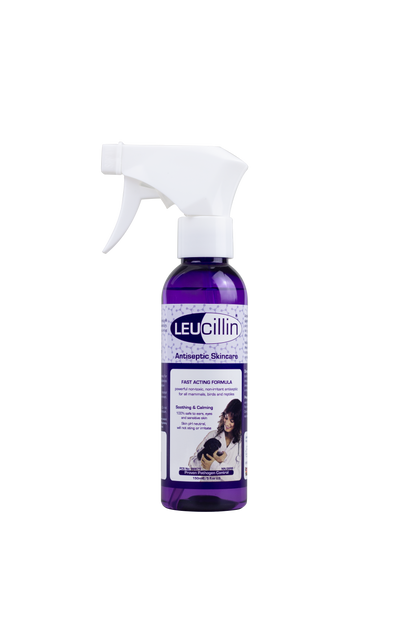 Hilltop Pet Foods Leucillin Animal Antiseptic Skincare spray is safe for all pets and features a white trigger and dog label.