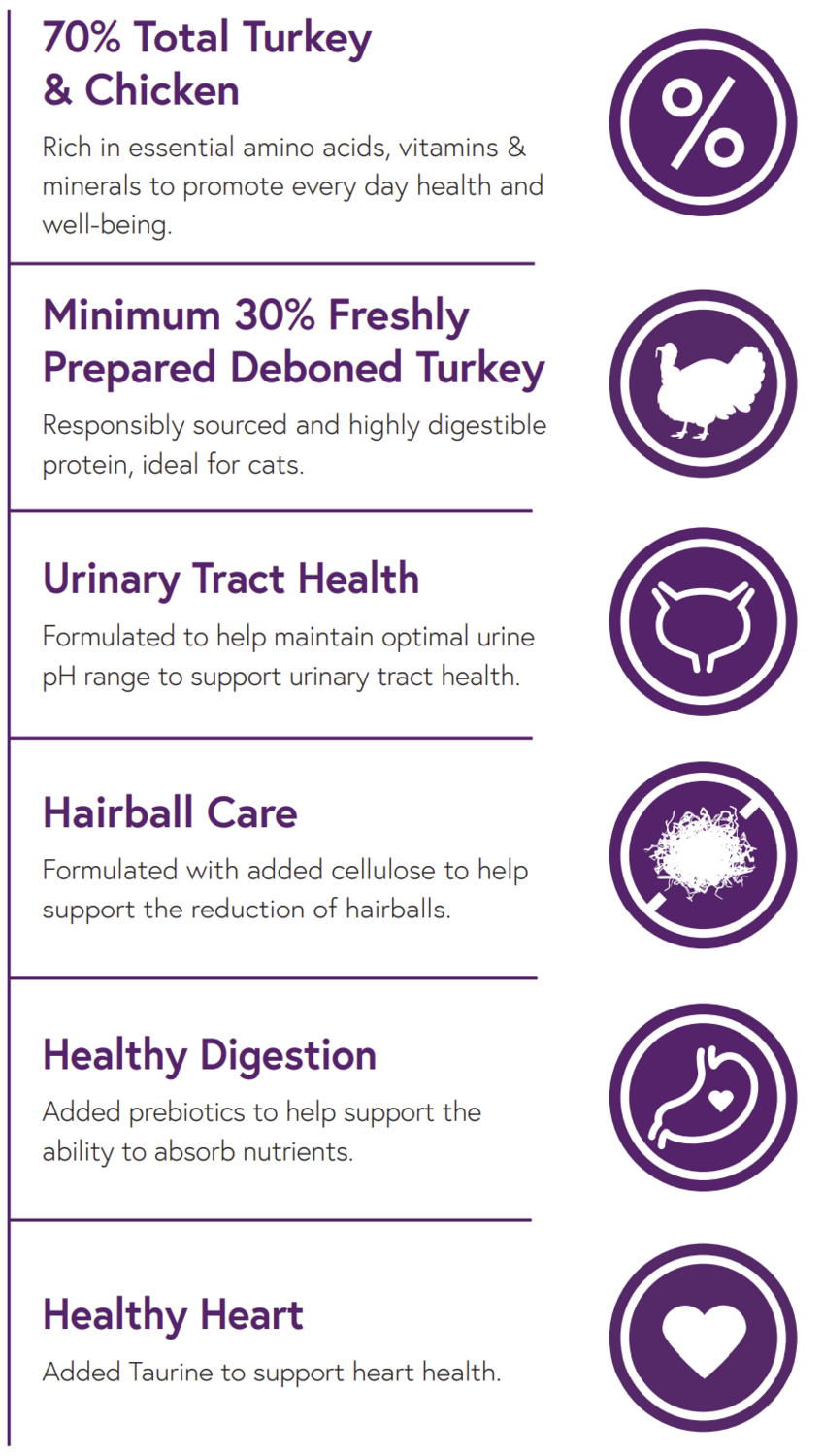 Infographic with icons: Hilltop Pet Food’s Hilltop Connoisseur Cat Food—high protein, urinary health, turkey, hairball care.