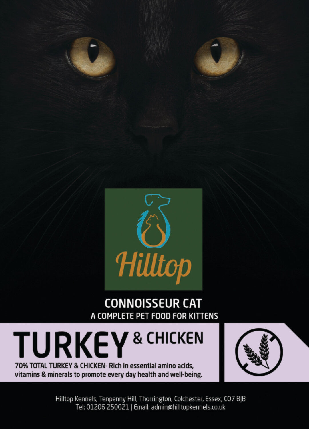Close-up of a black cat with yellow eyes, featuring Hilltop Pet Food Connoisseur Kitten Turkey and Chicken food.