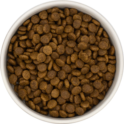 A white bowl filled with Hilltop Pet Food Premium Senior Cat Food—Chicken, Fish & Rice—for weight management.