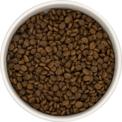 A bowl of Hilltop Grain Free Small Breed Dog Food—Lamb, Sweet Potato & Mint kibble—viewed from above.
