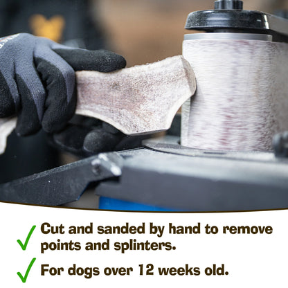 A gloved hand sands an Antler Chew by Hilltop Pet Food, safely prepped for dogs over 12 weeks old.