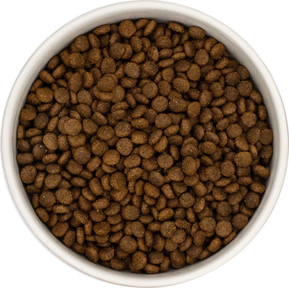 A white bowl of Hilltop Grain Free Adult Dog Food Small Breed - Duck, Sweet Potato & Orange, seen from above.