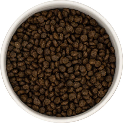 A bowl with Hilltop Pet Food Grain Free Small Breed Salmon & Trout kibble, viewed from above.