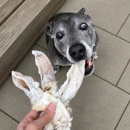 Furry Rabbit Ears