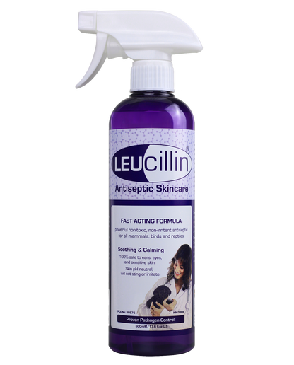 500ml Leucillin antiseptic skincare spray bottle on a transparent background