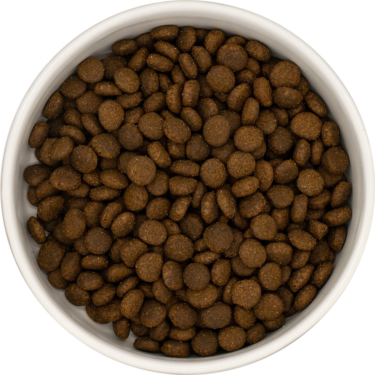 A white bowl with Hilltop Grain Free Adult Cat Food—Fresh Salmon & Sweet Potato—viewed from above on a white background.
