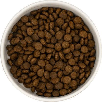 A white bowl with Hilltop Grain Free Adult Cat Food—Fresh Salmon & Sweet Potato—viewed from above on a white background.