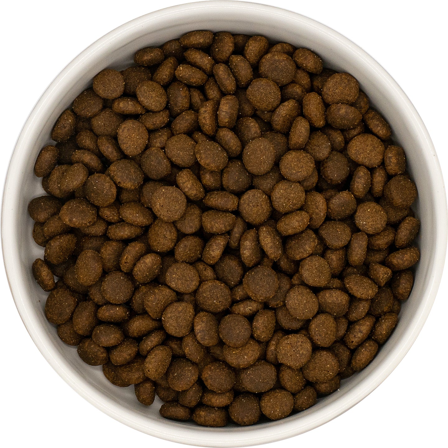 A white bowl with Hilltop Grain Free Adult Cat Food—Fresh Salmon & Sweet Potato—viewed from above on a white background.