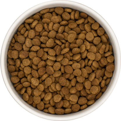 A white bowl filled with Hilltop Pet Food Sterilised Adult Cat Food—Chicken with Tuna & Salmon, viewed from above.