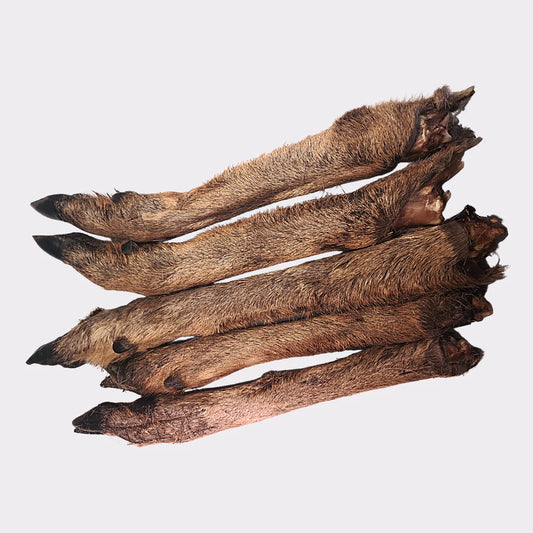 Five Hilltop Pet Food Venison Legs for dogs, with fur and hooves—natural chews your pup will love.