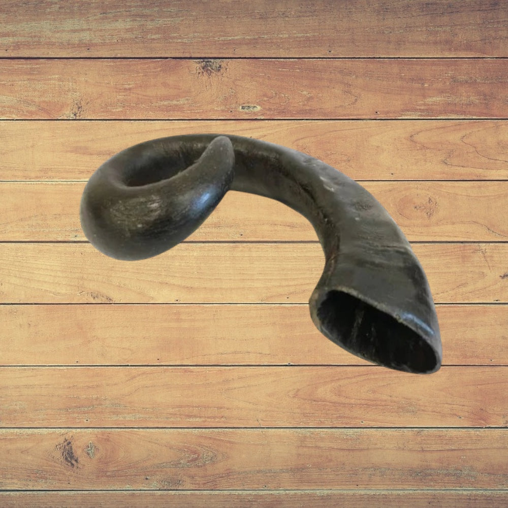 Hilltop Pet Food Buffalo Horn—curved, dark, and hollow—an ideal natural dog chew on a rustic wooden background.