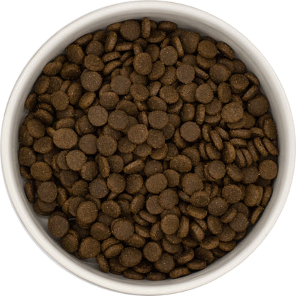 A white bowl of Hilltop Super Premium Adult Cat Food—Salmon & Chicken with Rice—from Hilltop Pet Food, viewed from above.
