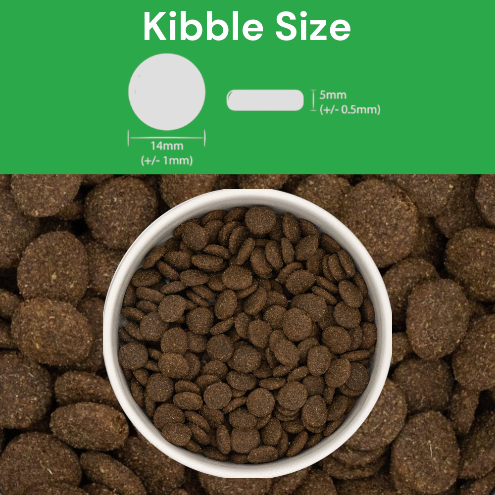 Dog kibble in a bowl with kibble size measurement details on a green background