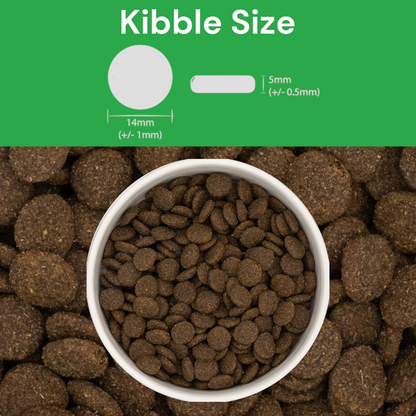 Dog kibble in a bowl with kibble size measurement details on a green background