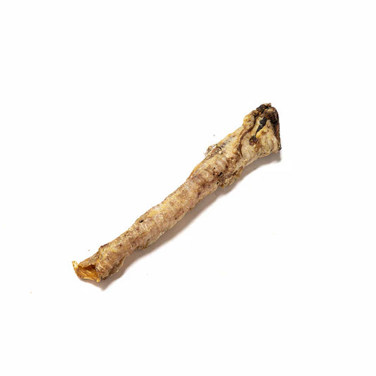Hilltop Pet Food Lamb Trachea, a single dehydrated treat with a rough texture, on a plain white background.