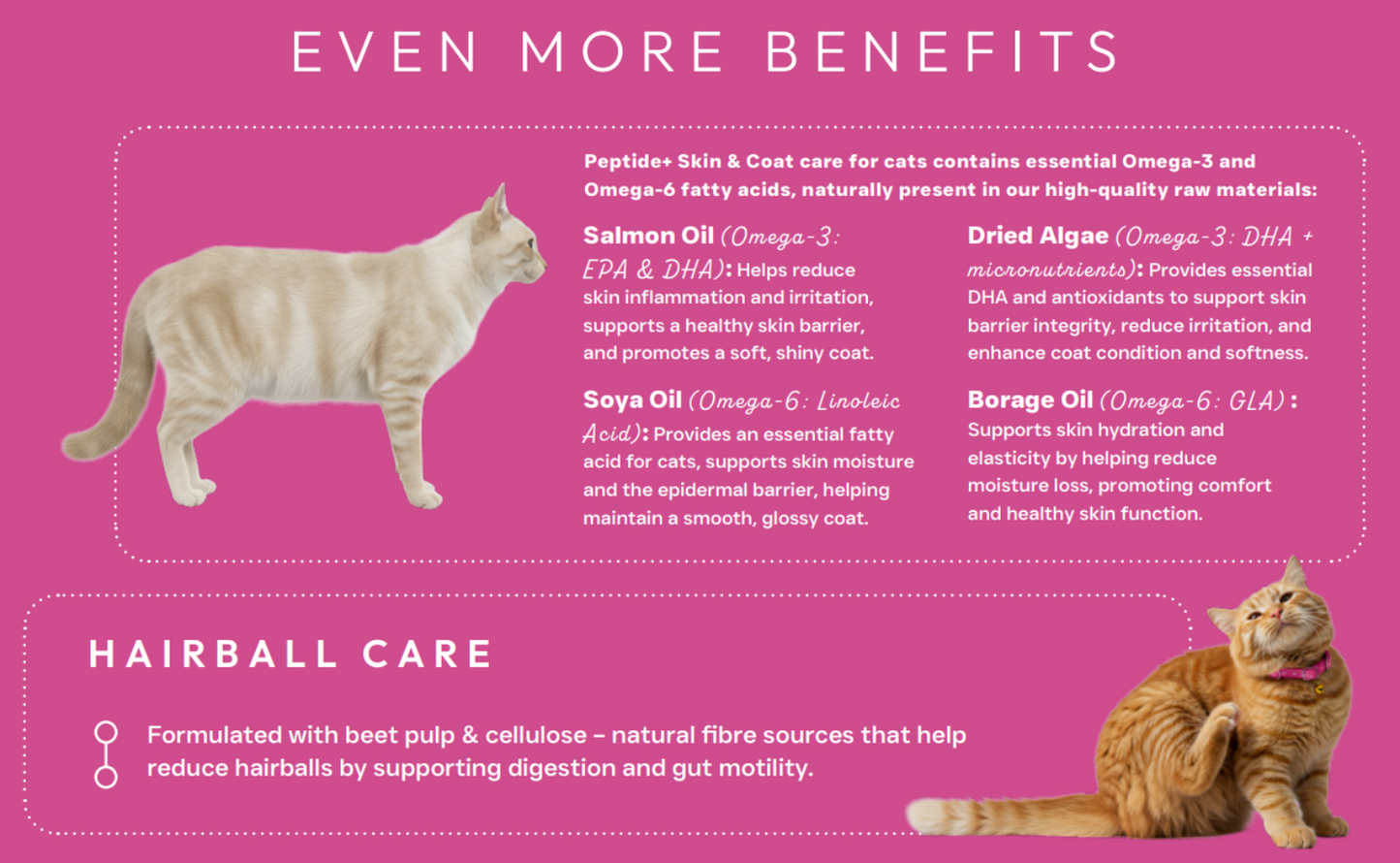 Hilltop Science Plus Cat Food - Skin and Coat Care - text about benefits and hairball care on a pink background.