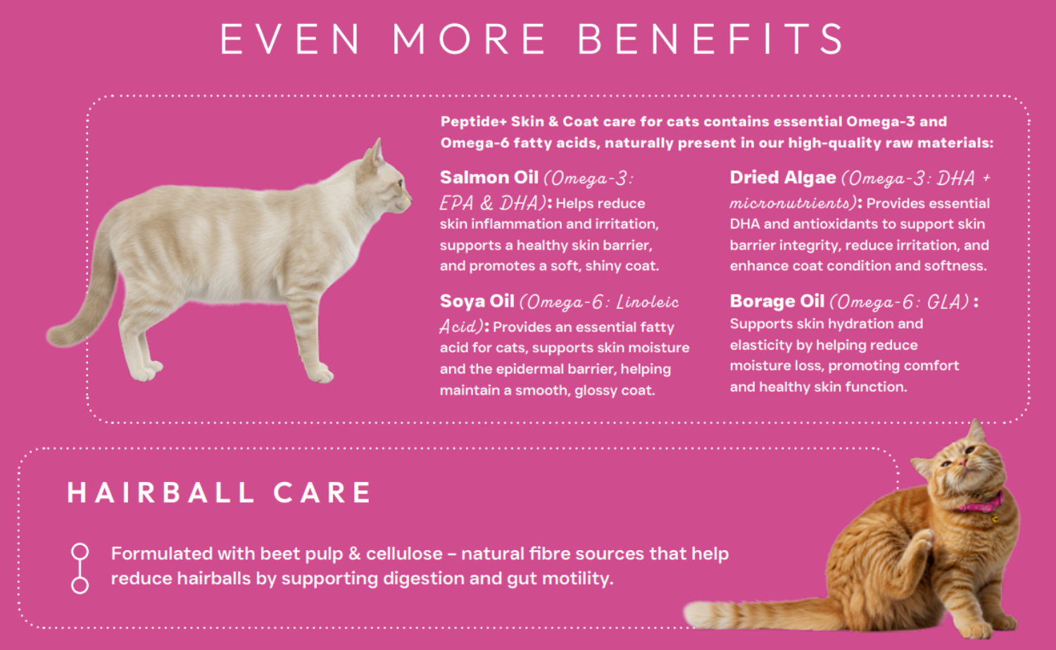 Hilltop Science Plus Cat Food - Skin and Coat Care - text about benefits and hairball care on a pink background.