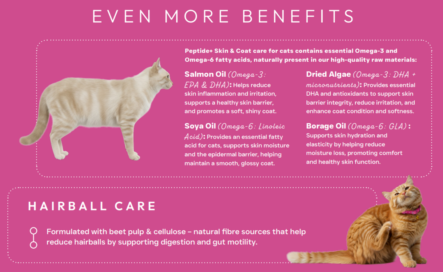 Hilltop Science Plus Cat Food - Skin and Coat Care - text about benefits and hairball care on a pink background.