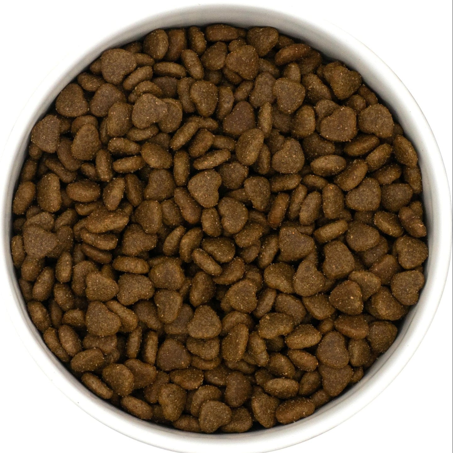 White bowl filled with Hilltop Science Plus Skin and Coat Care cat food on a white background