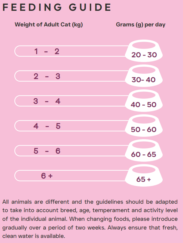 Hilltop Science Plus Cat Food Skin and Coat Care - Feeding guide for adult cats on a pink background