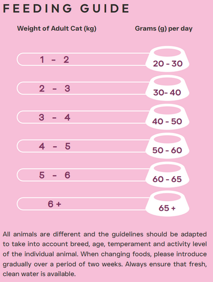 Hilltop Science Plus Cat Food Skin and Coat Care - Feeding guide for adult cats on a pink background