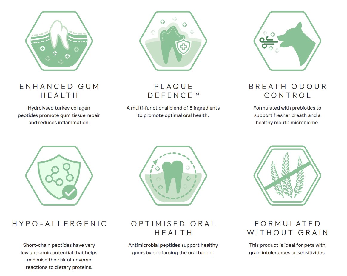 Diagram of dental health benefits with green hexagonal icons and text.