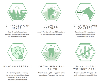Diagram of dental health benefits with green hexagonal icons and text.