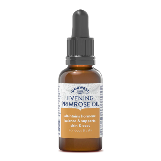 Hilltop Pet Food Dorwest Evening Primrose Oil Liquid for Dogs & Cats, rich in gamma linolenic acid for skin & coat.