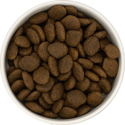 A white bowl filled with Hilltop Super Premium Adult Dog Food—Fish & Potato, viewed from above.