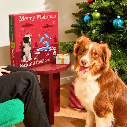 Fishmas Advent Calendar