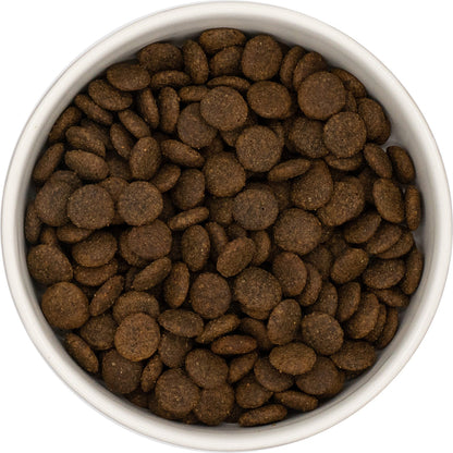 White bowl filled with Hilltop Grain Free Pork, Sweet Potato and Apple dog food on a white background
