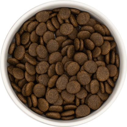 White bowl filled with Hilltop Grain Free Senior Trout, Salmon and Sweet Potato with Asparagus dog food on a white background