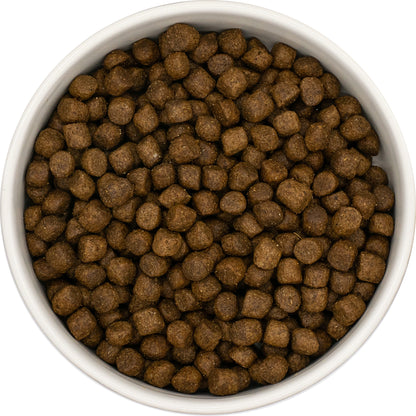 Round white bowl with Hilltop Super Premium Puppy Dog Food - Chicken & Rice by Hilltop Pet Food, viewed from above.