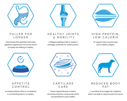 Health benefits of a product on a white background