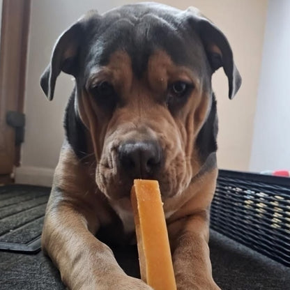 Himalayan Yak Chew