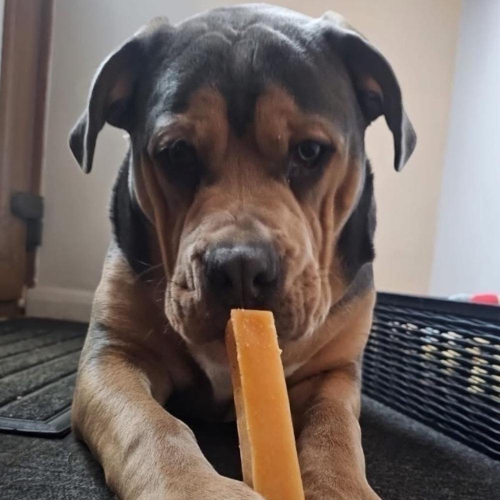 Himalayan Yak Chew