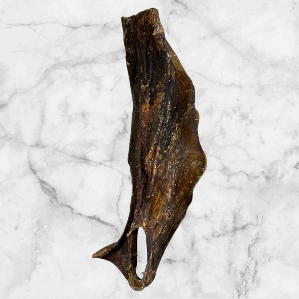 A single Hilltop Pet Food Camel Skin natural dog chew on a white marble surface.