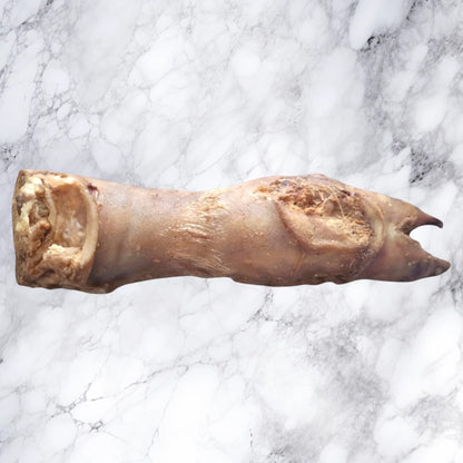 A Hilltop Pet Food Large Pig Trotter - Dried, a natural dog chew, rests on white marble.