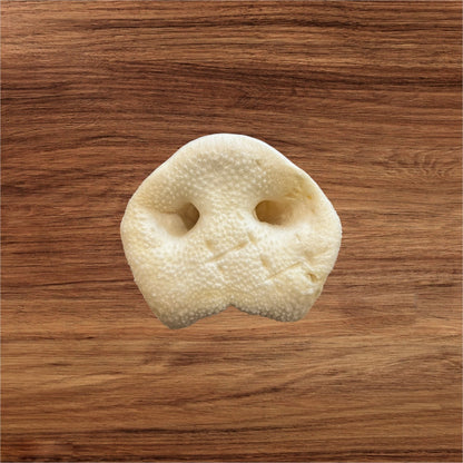 A cow nose print on wood, inspired by Hilltop Pet Food’s Puffed Pig Snout natural dog treats.