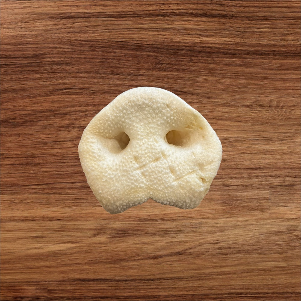A cow nose print on wood, inspired by Hilltop Pet Food’s Puffed Pig Snout natural dog treats.