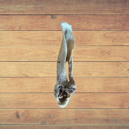 A single Furry Lamb Ear from Hilltop Pet Food displayed on a wooden surface—ask for more product details!.