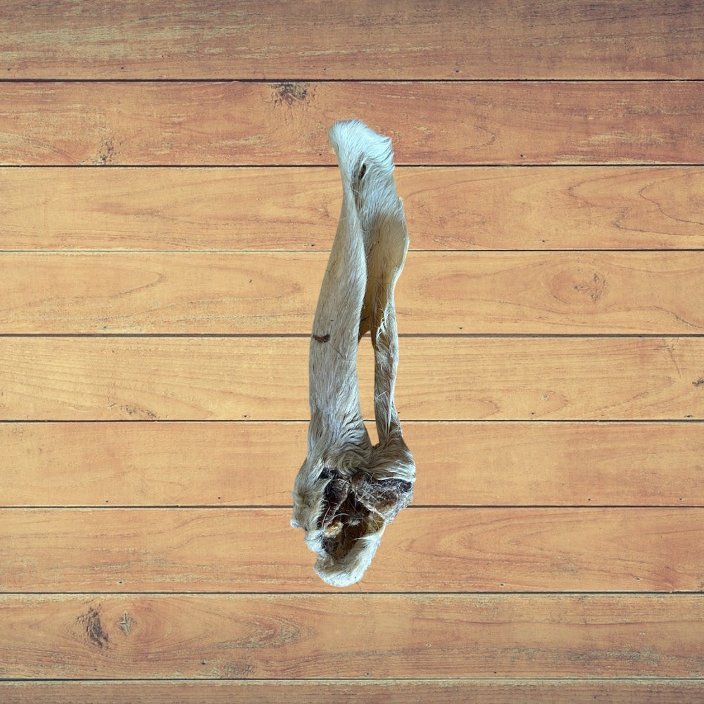 A single Furry Lamb Ear from Hilltop Pet Food displayed on a wooden surface—ask for more product details!.
