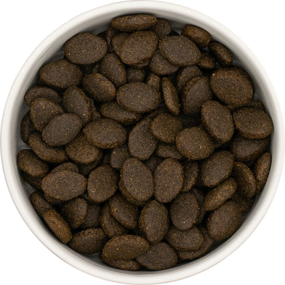A white bowl filled with Hilltop Pet Food puppy large breed salmon with potato hypoallergenic kibble.